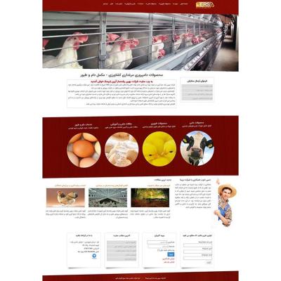 Webdesign Poultry